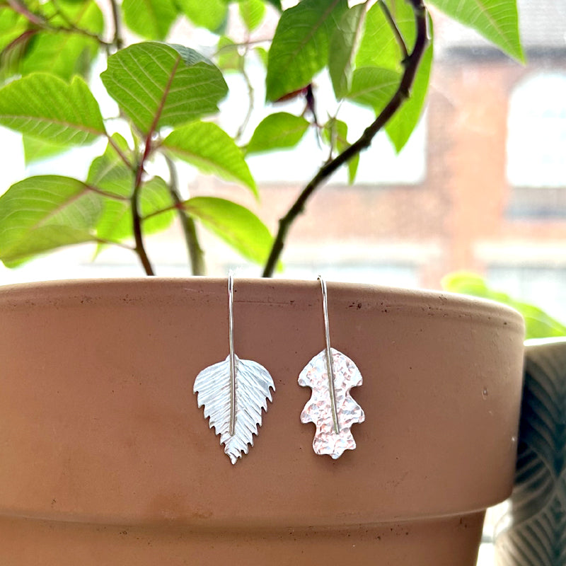 Oak and silver birch leaf earrings