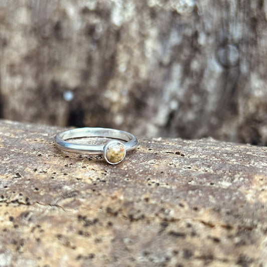 Picture Jasper single stone ring